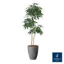 ナチュラルパキラ 180cm|GLPA-088 アーティフィシャルグリーン 人工観葉植物 鉢付きグリーン 造花 おしゃれ 上質 上品 高級 ゴージャス リビング...