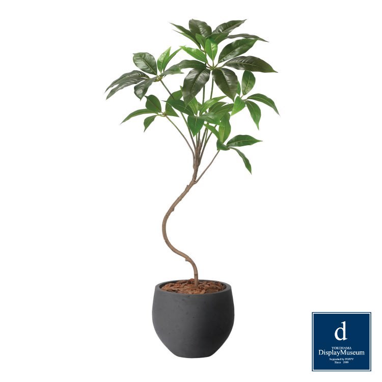 ナチュラルツピタンサス 100cm｜GLPA-093アーティフィシャルグリーン 人工観葉植物 鉢付きグリーン 造花 おしゃれ 上質 上品 高級 ゴージャス リビング サロン ホール