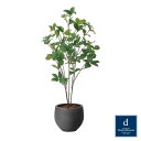 ナチュラルサラサドウダン 100cm|GLPA-094 アーティフィシャルグリーン 人工観葉植物 鉢付きグリーン 造花 おしゃれ 上質 上品 高級 ゴージャス ...