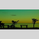 IGREBOW ニューカレドニア 夕暮れの海とヤシの木｜アイグレボウ インテリアフォト ピクチャーアート 写真 スタイリッシュ モダン カラー写真 カラーピクチャー 2