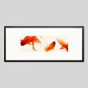 IGREBOW 金魚|アイグレボウ インテリアフォト ピクチャーアート 写真 スタイリッシュ モダン カラー写真 カラーピクチャー