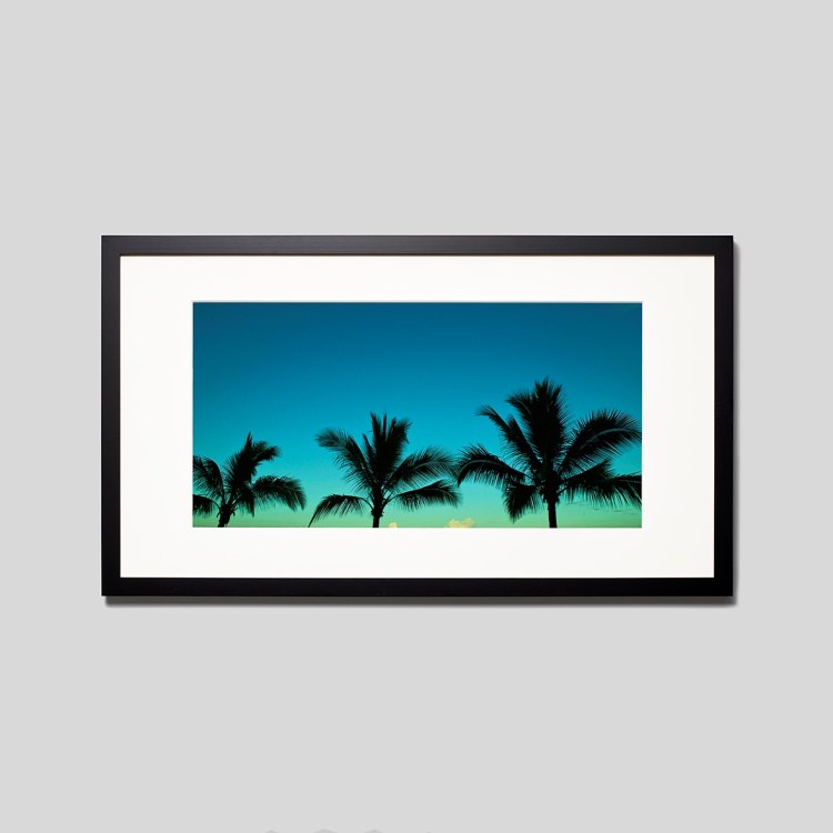IGREBOW ニューカレドニア グランドテール島ヌメア 海辺のヤシの木|アイグレボウ インテリアフォト ピクチャーアート 写真 スタイリッシュ モダン カラー...