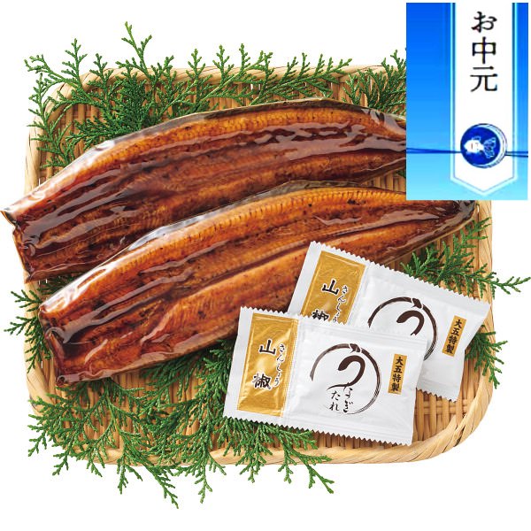 【お中元に最適】浜名湖産うなぎ使用 炙りうなぎ蒲焼(2尾)｜魚介 魚 セット 詰め合わせ 熨斗付き 食品 プレゼント 贈り物 ギフト 贈答用 高級贈答品 カタログギフト 送料無料 ※6/21より順次出荷～注文締め切り8/17まで