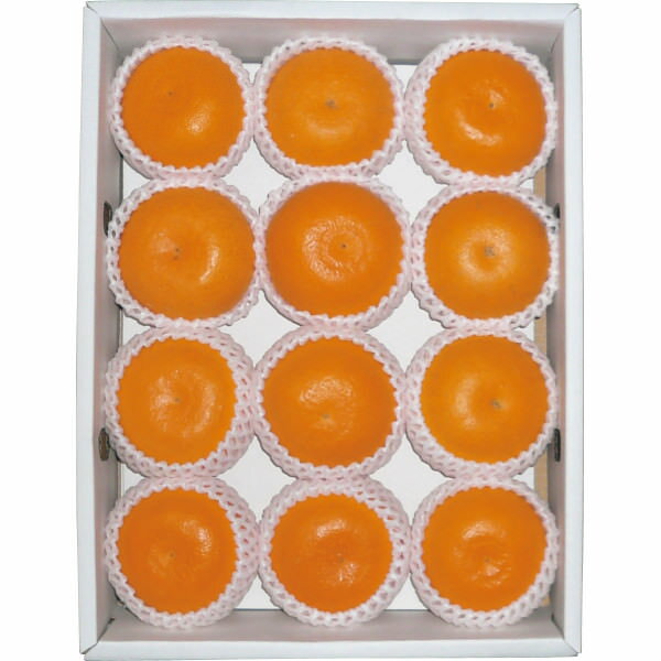 愛媛県産せとか(2.7kg) [お届け期間3月上旬~3月下旬]｜産直！フルーツ 果物 セット 詰め合わせ 食品 期間限定 ご予約受付中 産地直送 ご自宅用 プレゼント 贈り物 ギフト 贈答用 高級贈答品 カタログギフト 送料無料