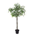 ファイカスポット 124cm|グリーン アーティフィシャルグリーン 人工観葉植物 人工樹木 簡易鉢付きグリーン グリーン 造花 おしゃれ 上質 上品 高級 ゴー...