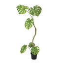 ツイストモンステラポット 152cm|グリーン アーティフィシャルグリーン 人工観葉植物 人工樹木 簡易鉢付きグリーン グリーン 造花 おしゃれ 上質 上品 高...