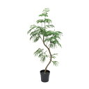ツイストエバーフレッシュポット 148cm|グリーン アーティフィシャルグリーン 人工観葉植物 人工樹木 簡易鉢付きグリーン グリーン 造花 おしゃれ 上質 上...