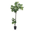 ウンベラータポット(組立式) 208cm|グリーン アーティフィシャルグリーン 人工観葉植物 人工樹木 簡易鉢付きグリーン グリーン 造花 おしゃれ 上質 上品...