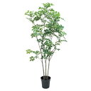 トネリコポット 152cm|グリーン アーティフィシャルグリーン 人工観葉植物 人工樹木 簡易鉢付きグリーン グリーン 造花 おしゃれ 上質 上品 高級 ゴージ...