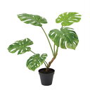 モンステラポット 71cm|グリーン アーティフィシャルグリーン 人工観葉植物 人工樹木 簡易鉢付きグリーン グリーン 造花 おしゃれ 上質 上品 高級 ゴージ...