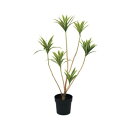 ドラセナレフレクサポット 109cm|グリーン アーティフィシャルグリーン 人工観葉植物 人工樹木 簡易鉢付きグリーン グリーン 造花 おしゃれ 上質 上品 高...