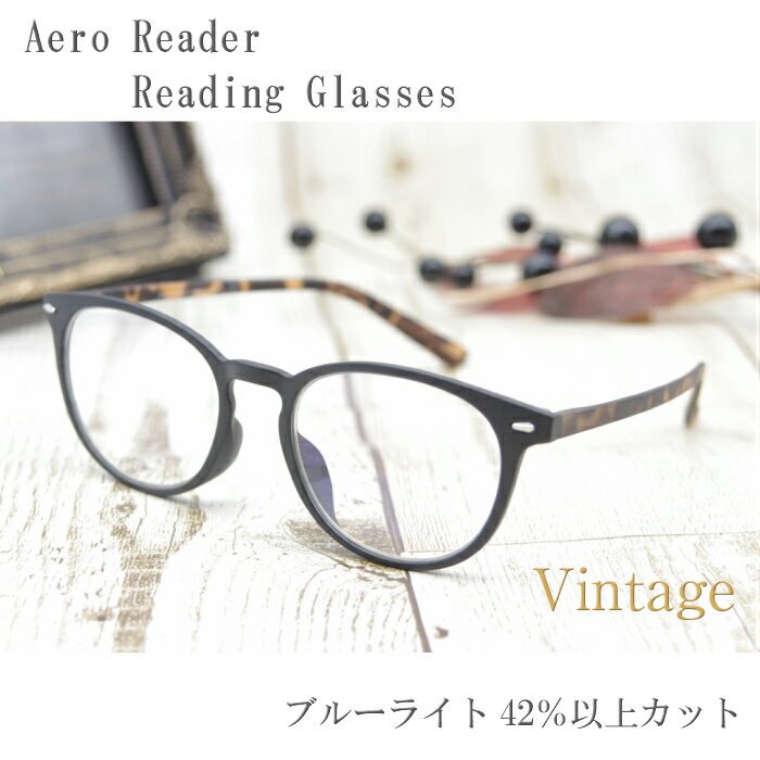 楽天ベスパストアー老眼鏡　Aero Reader GR-19 ブルーライトカット リーディンググラス　ヴィンテージ　5度数 持ち運びに便利なソフトケース付き