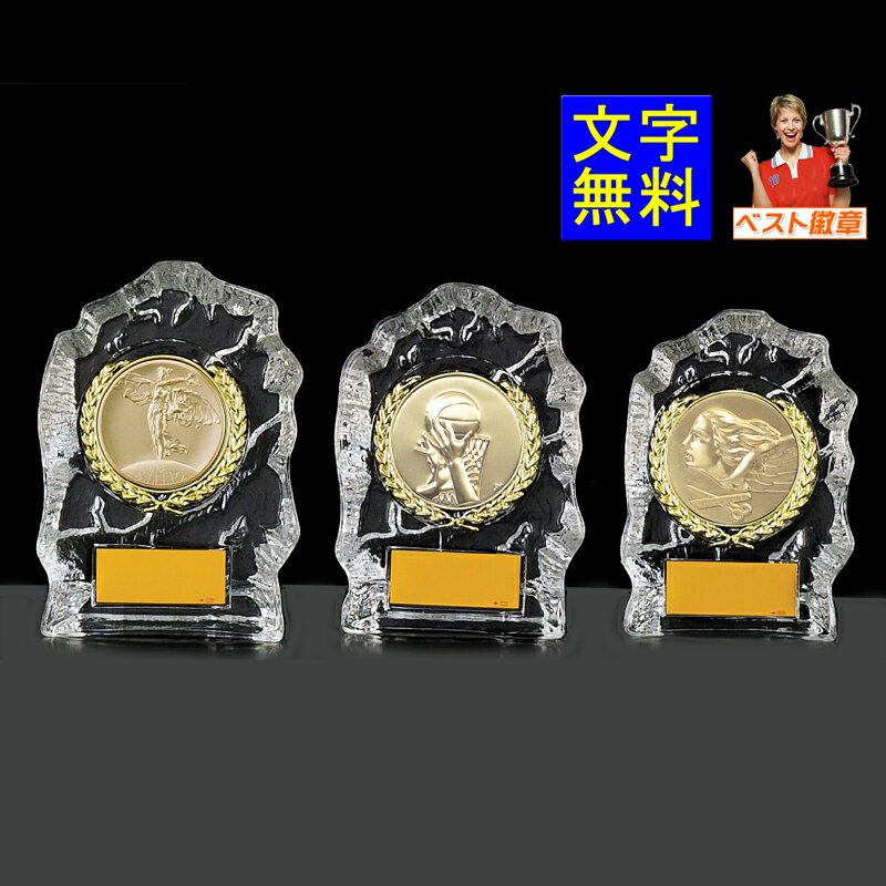 ガラス トロフィー 文字無料 高さ120mm ...の紹介画像2