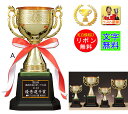 優勝カップ レーザー文字無料 高さ260mm 樹脂製 デザイン優勝カップ 樹脂 トロフィー 卓球 盾 トロフィー 優勝カップ ゴルフ 野球 サッカー 相撲 柔...
