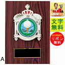 表彰トロフィー TV2008 樹脂製 【化粧箱入り】【レーザー彫刻・文字彫刻代無料】 南九州トロフィー