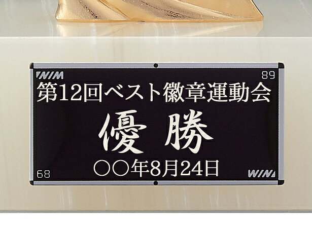 �ȥ��ե�����ʸ��̵������°����10��OFF���������桡�⤵155mm��460g���֥��� ����ա�ͥ�����å� ������롡�ȥ��ե��������ݡ��ĥԥ��ȥ���ࡡͥ�����åס��ȥ��ե������ܥ���󥰡��ȥ��ե��� ��塡��ˡ���ƻ�����ꡡ�ȥ��ե��� �Хɥߥ�ȥ�W-VSL501-�⡦�䡦Ƽ