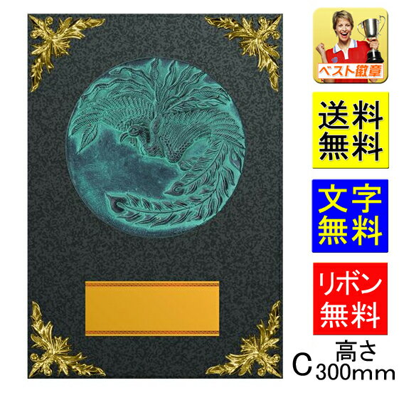 盾 送料無料 文字無料 高さ300mm 10%OFF 表彰 記念品 楯.盾.表彰.優勝カップ。トロフィー。記念品.卒業記念品.入学.功労.殊勲.技能 表彰楯 ...