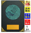 盾 高さ385mm　送料無料＆文字無料　表彰　記念品　表彰楯　トロフィー　記念　卒業記念品　功労　殊勲　技能　退職　永年　記念　トロフィー　ゴルフ　野球　サッカー　バスケットボール　バレーボール　グラウンドゴルフ　相撲　柔道　剣道　空手　体操　卓球　D004-S