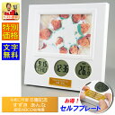 卒園記念品 電池付 卒業記念品 フォトフレーム 高さ175mm 時計 卒団記念品 サッカー バスケ 野球 写真立て 卒部 部活 鉛筆 傘 時計 3ツ窓 園児 先生 プレゼント 卒園 記念品 オリジナル 写真 三ツ窓 名入れ 1個から LBP100-SP セルフプレート