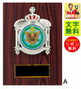 盾 文字無料 表彰盾 高さ210mm トロフィー 優勝カップ 通販 楯 盾 表彰 卒業記念品 功労 殊勲 技能 野球 サッカー 音楽 剣道 書道 珠算 バレーボール ランナー ゴルフ 卓球 バスケットボール マラソン バドミントン 水泳 珠算 K-KV5415-A