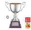 優勝カップ 送料無料 【文字無料】シルバー優勝カップ M-JC1244-Cサイズ●高さ240mm