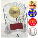 盾 野球 レーザー文字無料 高さ180mm 表彰楯 (樹脂製)野球 ベースボール 最優秀選手賞 MVP ゴールデングラブ 首位打者 打率 盗塁王 打点王 野球 ...