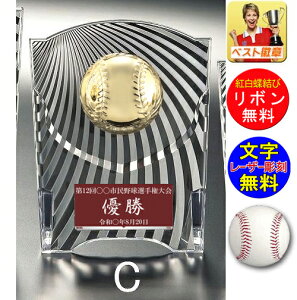 盾 野球 レーザー文字無料　楯（樹脂製）高さ140mm トロフィー 野球　ベースボール 優秀選手賞 MVP ゴールデングラブ　首位打者 打率 盗塁王 打点王 盾 トロフィー 野球 最優秀選手賞 MIP 首位打者　打率　盗塁王　ホームラン王 ボール 卒業記念 卒団 卒部 W-CCL5569-7-C