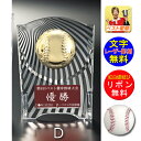 楯 野球 レーザー文字無料 盾(樹脂製)高さ125mm トロフィー 野球 ベースボール 優秀選手賞 MVP ゴールデングラブ 首位打者 打率 盗塁王 打点王 盾...