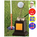 文字無料 送料無料 ホールインワン トロフィー 高さ230mm ホールインワン記念品 アルバトロス ゴルフ記念品 バーディ イーグル ベストグロス ホールインワントロフィー ゴルフコンペ景品 ゴルフコンペ ニアピン ドラコン ベスグロ  エイジシュート B557-B