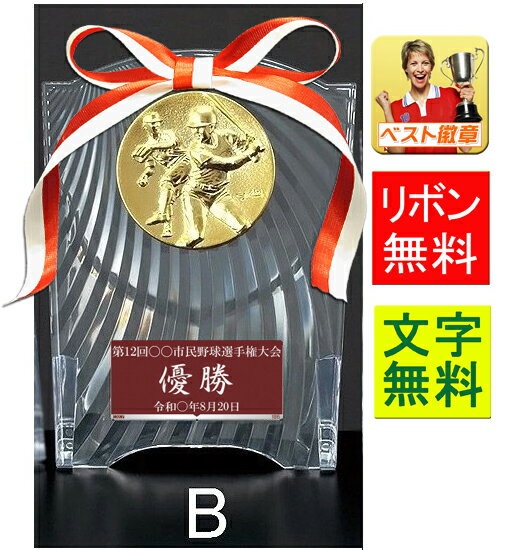 盾　文字無料　送料無料　鏡　高さ210mm　種目選択　ミラーガラス製　楯　盾　表彰　野球　勲章　文化　音楽　功労　殊勲　ピクトグラム　サッカー　釣り　テニス　碁　優勝カップ　トロフィー　記念　卒業記念品　相撲　柔道　剣道　空手　技能　退職　永年　記念　V142-F