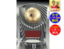 盾 サッカー 文字彫刻無料 表彰楯 （樹脂製）高さ160mm サッカー フットサル フットボール リフティング 最優秀選手 ゴール アシスト ヘディング 得点王 トロフィー サッカーボール リフティング 最優秀選手 ハットトリック W-CCL5569-17-B