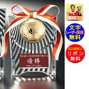 盾 文字無料 サッカー 高さ125mm 表彰楯 樹脂 楯 盾 表彰 トロフィー 記念品 卒業記念品 入学 功労 殊勲 技能 サッカー フットサル フットボール ...