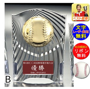 盾 野球 文字無料 表彰楯 高さ160mm 樹脂製 野球 ベースボール 最優秀選手賞 MVP ゴールデングラブ 首位打者 最高打率 盗塁王 打点王 本塁打王 ホームラン王 トロフィー 優秀選手賞 卒団記念 卒業記念品 卒部 優秀選手賞 優勝 敢闘賞 W-CCL5569-7-B
