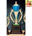 トロフィー 高さ300mm●20%OFF 優勝トロフィー トロフィ 名入れ 優勝トロフィー トロフィー ゴルフ 優勝カップ 盾 メダル ゴルフ 野球 サッカ...
