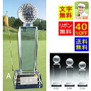 ゴルフ トロフィー 文字無料 送料無料 ガラストロフィー 高さ250mm 表彰・優勝・最優