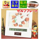卒園記念品 名入れ フォトフレーム 電池2本付 卒園 記念品 写真入り 卒園記念品 オリジナル 卒園記念品 時計 卒園 プチギフト 名入れ 鉛筆 卒園記念 卒業記念品 名入れ 1個から フォトフレーム 卒業記念品 卒園記念品 フォトフレーム ND-D3087-SP セルフプレート