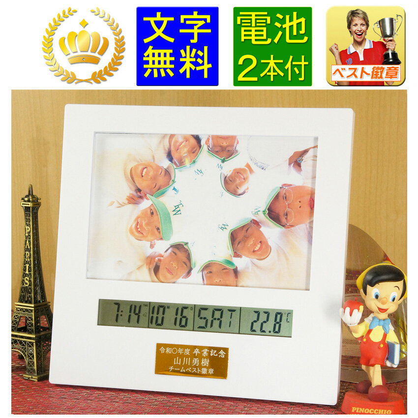´൭ǰʡեȥե졼ࡡ2ա̾졡ꥸʥ롡´ȵǰʡס´ĵǰʡ´塡åХåȡ⤵175mm...