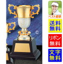 優勝カップ ゴルフ 高さ220mm送料無料&文字無料 大理石 優勝カップ ゴルフ トロフィートロフィー 優勝 ゴルフコンペ トロフィートロフィー ゴルフ 盾 メ...