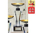 優勝カップ 送料無料 【文字無料】華麗なクリスタルカップW-RS468-Aサイズ●高さ275mm