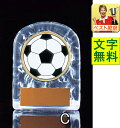 サッカー【文字彫刻無料】盾・楯　サッカー楯（アクリル製）V128-Cサイズ●高さ89mm（トロフィー/優勝カップ/楯/盾/ベスト徽章）サッカー　フットサル　フットボール　リフティング　最優秀選手　優秀選手賞　ゴール　アシスト　ヘディング その1