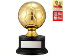 サッカー・トロフィー【文字無料】 送料無料 トロフィー フットボール W-VC4547-Bサイズ●高さ200mm