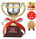 優勝カップ レーザー文字無料 高さ185mm 樹脂製 優勝カップ トロフィー 優勝カップ ゴルフ 野球 サッカー バスケットボール バレーボール グラウンドゴルフ 相撲 柔道 剣道 空手 ボウリング 卒業記念品優勝カップ トロフィーの専門会社 W-FC125-C