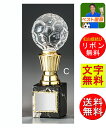 トロフィー・サッカー 送料無料 サッカー フットサル フットボール リフティング 最優秀選手 優秀選手賞 ゴール アシスト ヘディング ハットトリック M-VT...