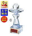 トロフィー【送料無料&文字彫刻無料】【ガラス】 ガラストロフィー W-VC3509-Cサイズ 225mm クリスタル | クリスタルトロフィー クリスタルガラス...