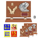 盾 文字無料 送料無料 楯 高さ270mm 盾 優勝カップ トロフィー 記念品 卒業記念 優秀賞 最優秀賞 最優秀選手賞 表彰盾 野球 最優秀選手賞 MVP ...