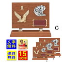 盾 文字無料 送料無料 楯 高さ230mm 盾 優勝カップ トロフィー 記念品 卒業記念 優秀賞 最優秀賞 最優秀選手賞 表彰盾 野球 最優秀選手賞 MVP ...