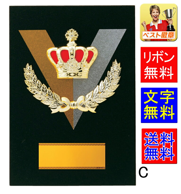 盾【文字無料】 送料無料●高さ300mm【記念品】表彰楯 トロフィー 優勝カップ ゴルフ 野球 サッカー バスケットボール バレーボール グラウンドゴルフ 相撲...