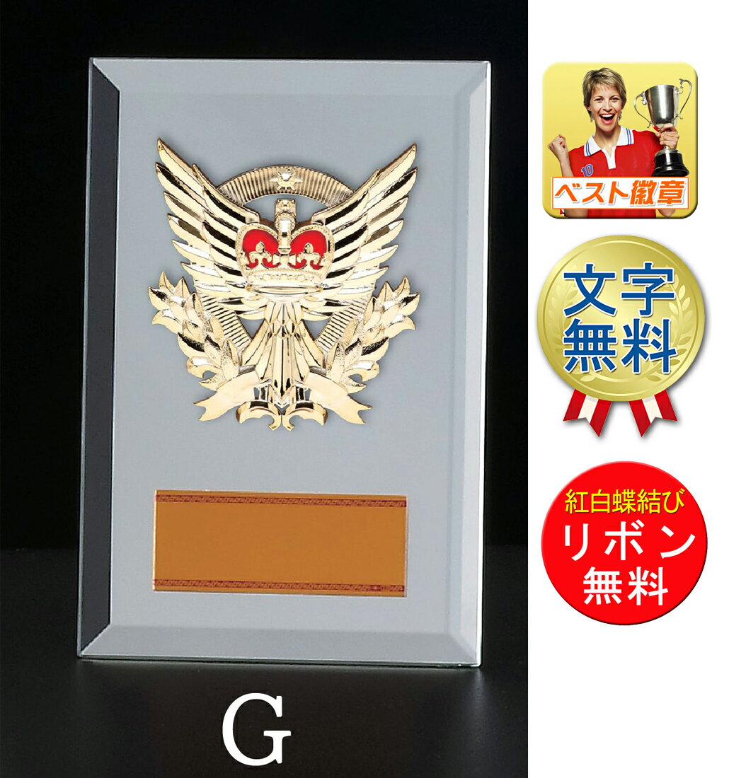 盾 高さ180mm【文字無料】ミラーガラス製楯(鏡)トロフィー 盾 メダル バスケットボール サッカー ゴルフ バドミントン バレーボール 盾.表彰.優勝カップ...