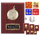 盾 野球 20%OFF レーザー文字無料 表彰記念楯 高さ230mm 盾 表彰 野球 ベースボール 最優秀選手賞 MVP ゴールデングラブ 首位打者 本塁打王 盗塁王 打点王 ホームラン王 優勝カップ トロフィー 記念品 卒業記念品 卒団 卒部 功労 殊勲 技能 優秀賞 最優秀賞 K-K5102-D(3)