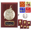 盾 20%OFF レーザー文字無料 表彰記念楯 高さ180mm 盾 表彰 優勝カップ トロフィー 記念品 卒業記念品 功労 殊勲 技能 優秀賞 最優秀賞 最優秀選手賞 野球 ベースボール 最優秀選手賞 MVP ゴールデングラブ 首位打者 本塁打王 盗塁王 打点王 K-K5102-F 盾